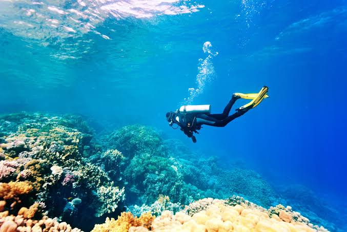 Intro Diving